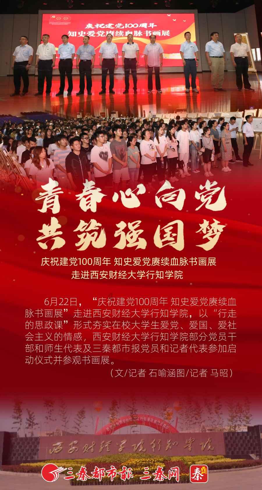 救援袋鼬